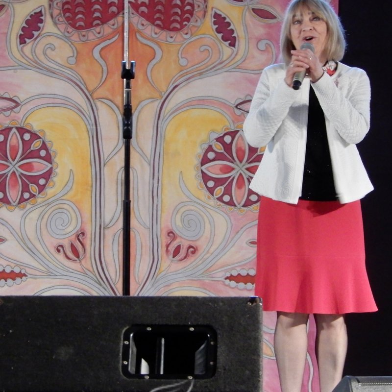 Kovács Kati koncertezett az időseknek 46